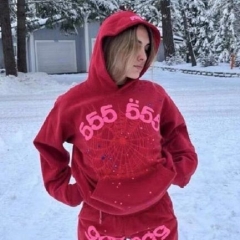 Pink Spider Hoodie
