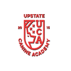 Upstatecanine