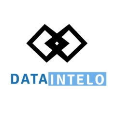 DataInteloConsulting